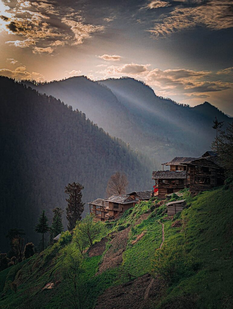 A tranquil landscape of Shoja in Himachal Pradesh, showcasing rustic wooden cottages, verdant pine forests, and towering Himalayas in the background.