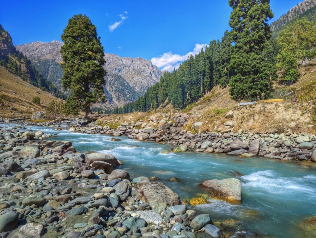The crystal-clear Lidder River meandering through the picturesque Aru Valley in Kashmir, surrounded by lush meadows, dense forests, and towering Himalayan peaks.