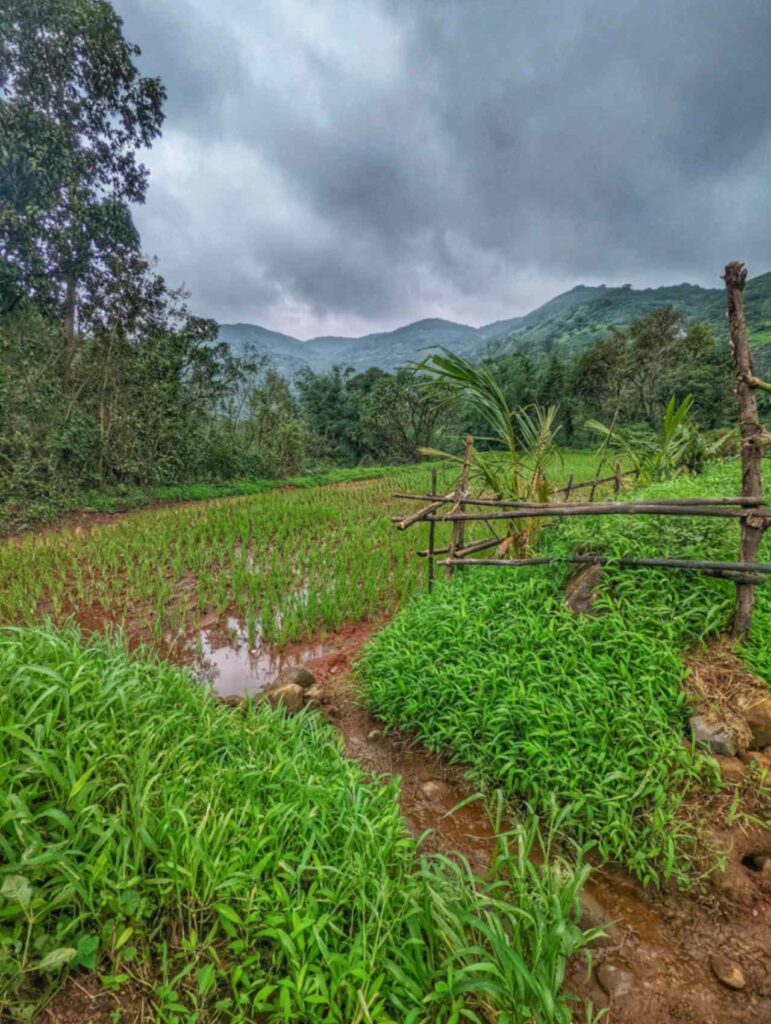 Picturesque Bendewadi Village, Maval – A serene rural hamlet nestled in the Sahyadri hills, surrounded by lush greenery and misty valleys.