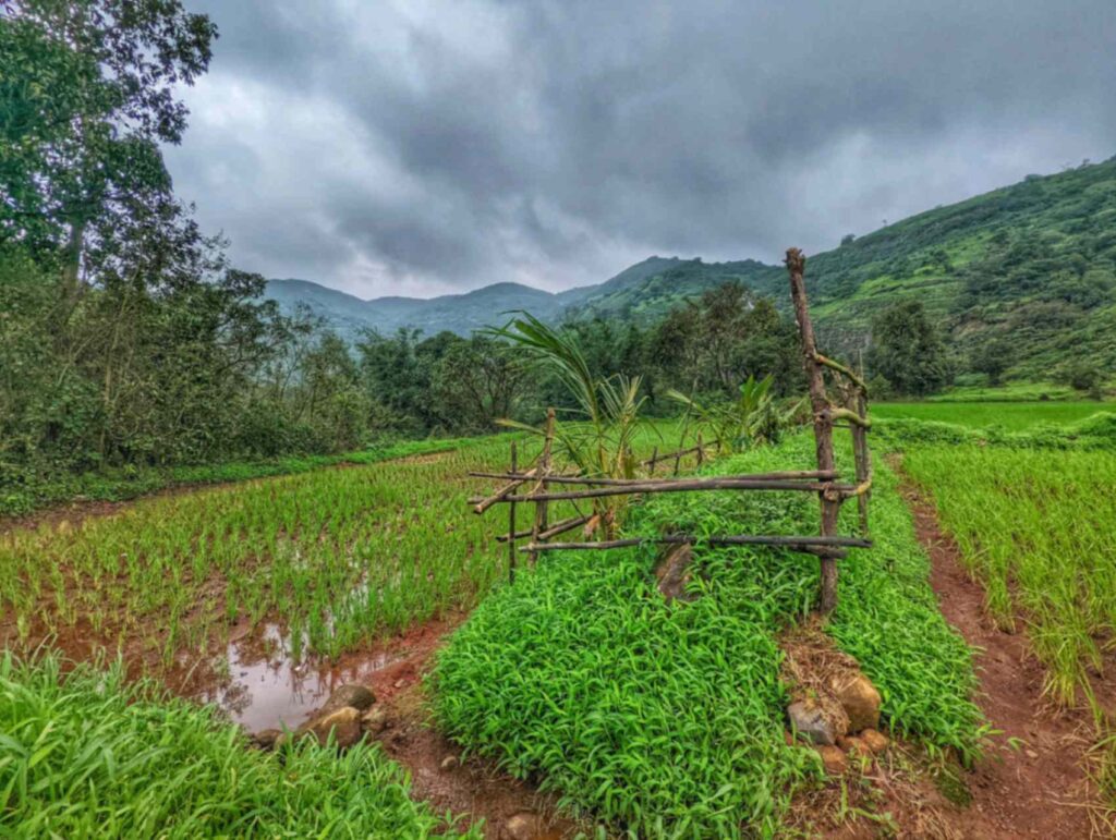Picturesque Bendewadi Village, Maval – A serene rural hamlet nestled in the Sahyadri hills, surrounded by lush greenery and misty valleys.