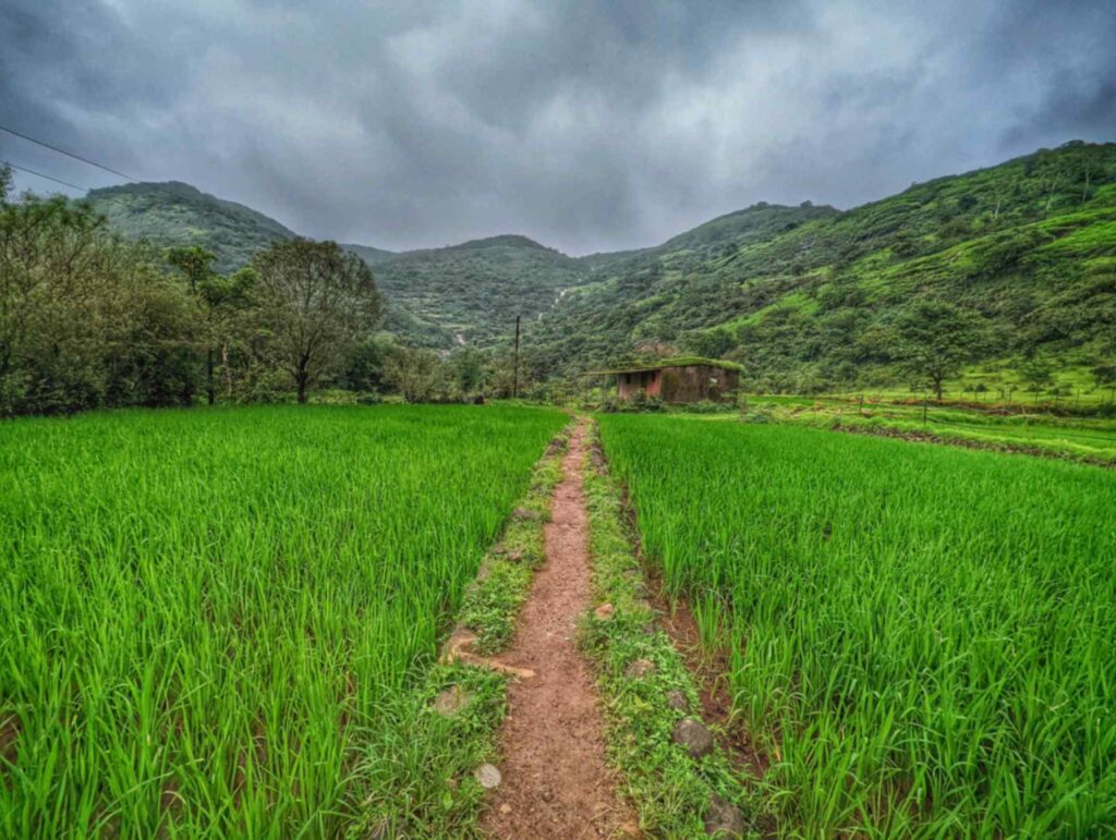 Picturesque Bendewadi Village, Maval – A serene rural hamlet nestled in the Sahyadri hills, surrounded by lush greenery and misty valleys.