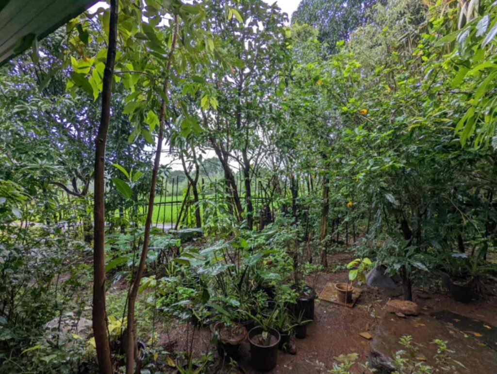 Picturesque Bendewadi Village, Maval – A serene rural hamlet nestled in the Sahyadri hills, surrounded by lush greenery and misty valleys.