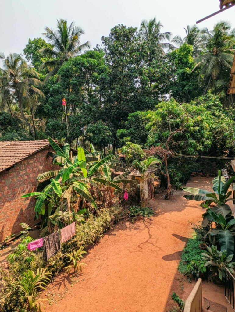 Aapa's Coconut garden homestay